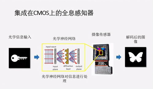 戴上光学眼镜，一眼看穿千万人脸 科学家如何让光更“聪明”？