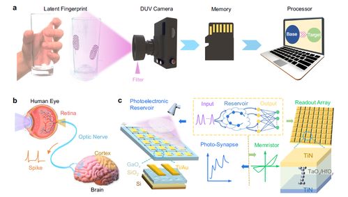 科研团队利用深紫外光实现感存算一体化光信息采集与处理